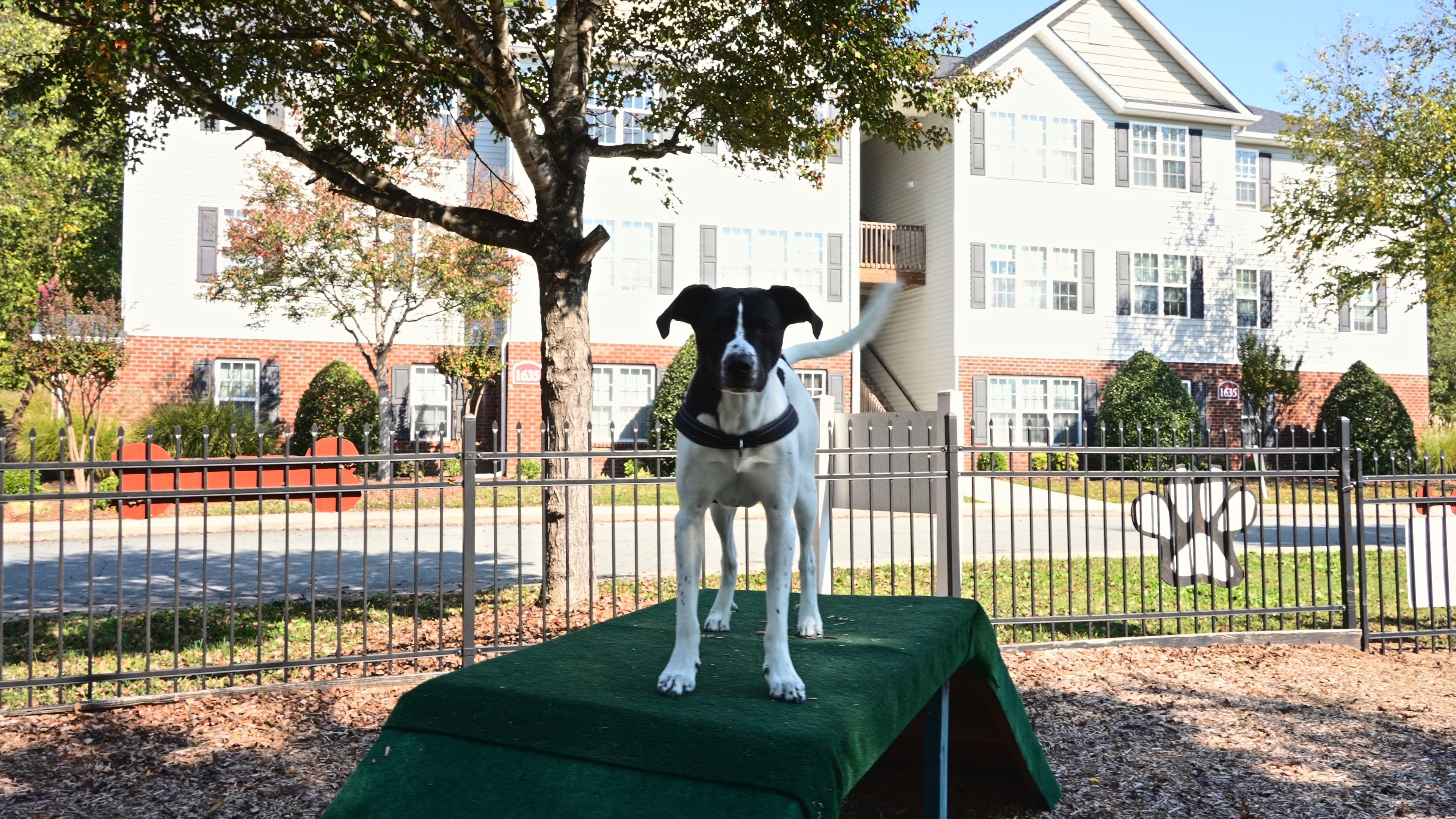 The pet park at The Pointe at Peters Creek